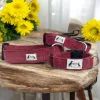 Conjunto collar y correa micropana burdeos - Imagen 2
