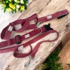 Conjunto collar y correa micropana burdeos - Imagen 4